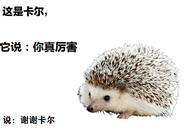 求知 总感觉馆长要做新勋章哈哈 求知 总感觉馆长要做新勋章哈哈