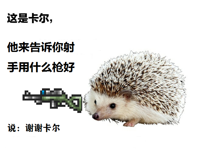 射手用什么枪好,不同的枪用什么子弹好 射手用什么枪好,不同的枪用什么子弹好