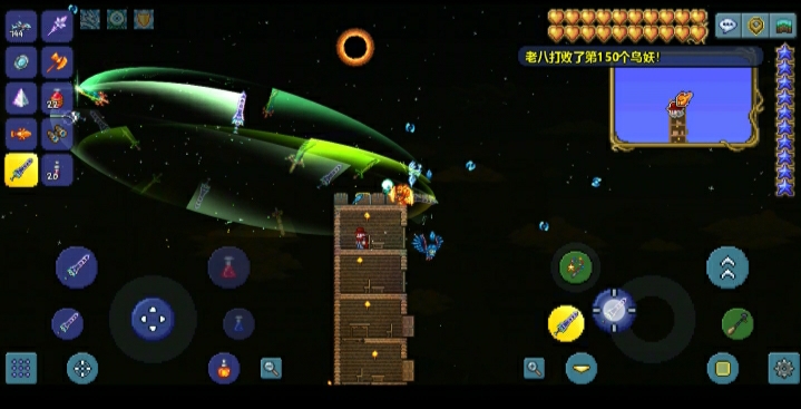 大师战士毕业 大师战士毕业