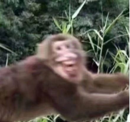 你们51活动都打算建什么 你们51活动都打算建什么