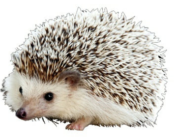 关于五一征求的铁汁 关于五一征求的铁汁