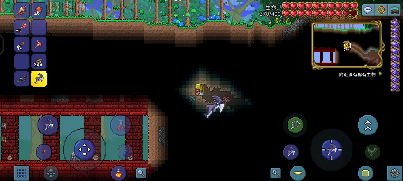 你指定没见过 你指定没见过