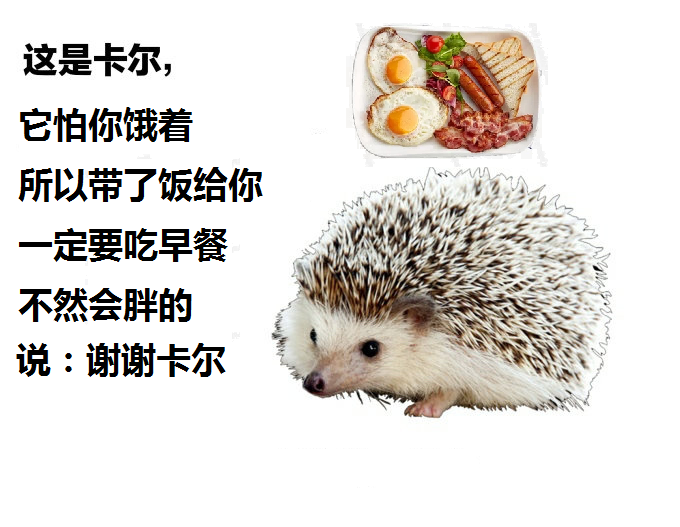 (◕ᴗ◕✿) (◕ᴗ◕✿)