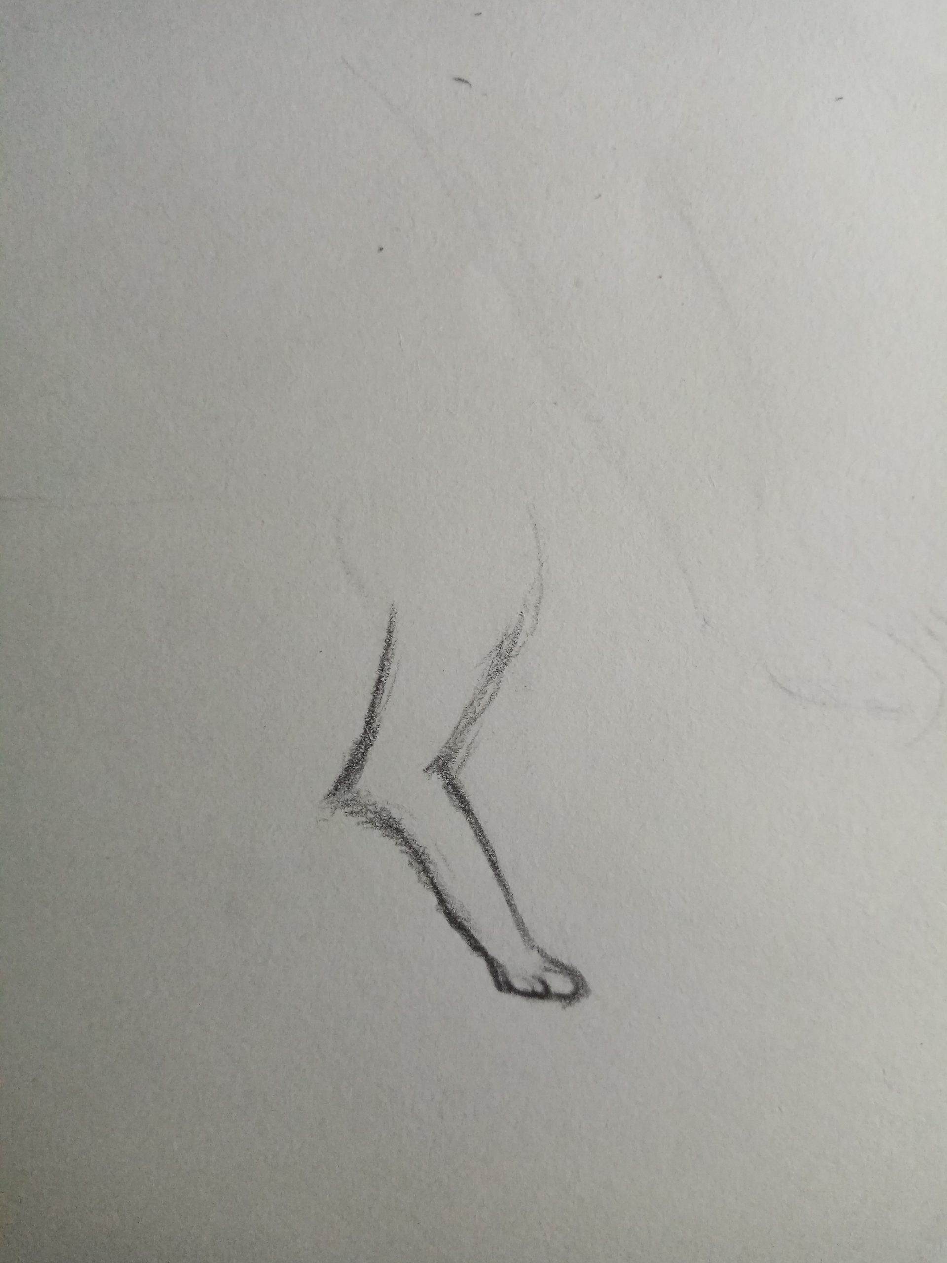 猫の建筑日记 猫の建筑日记