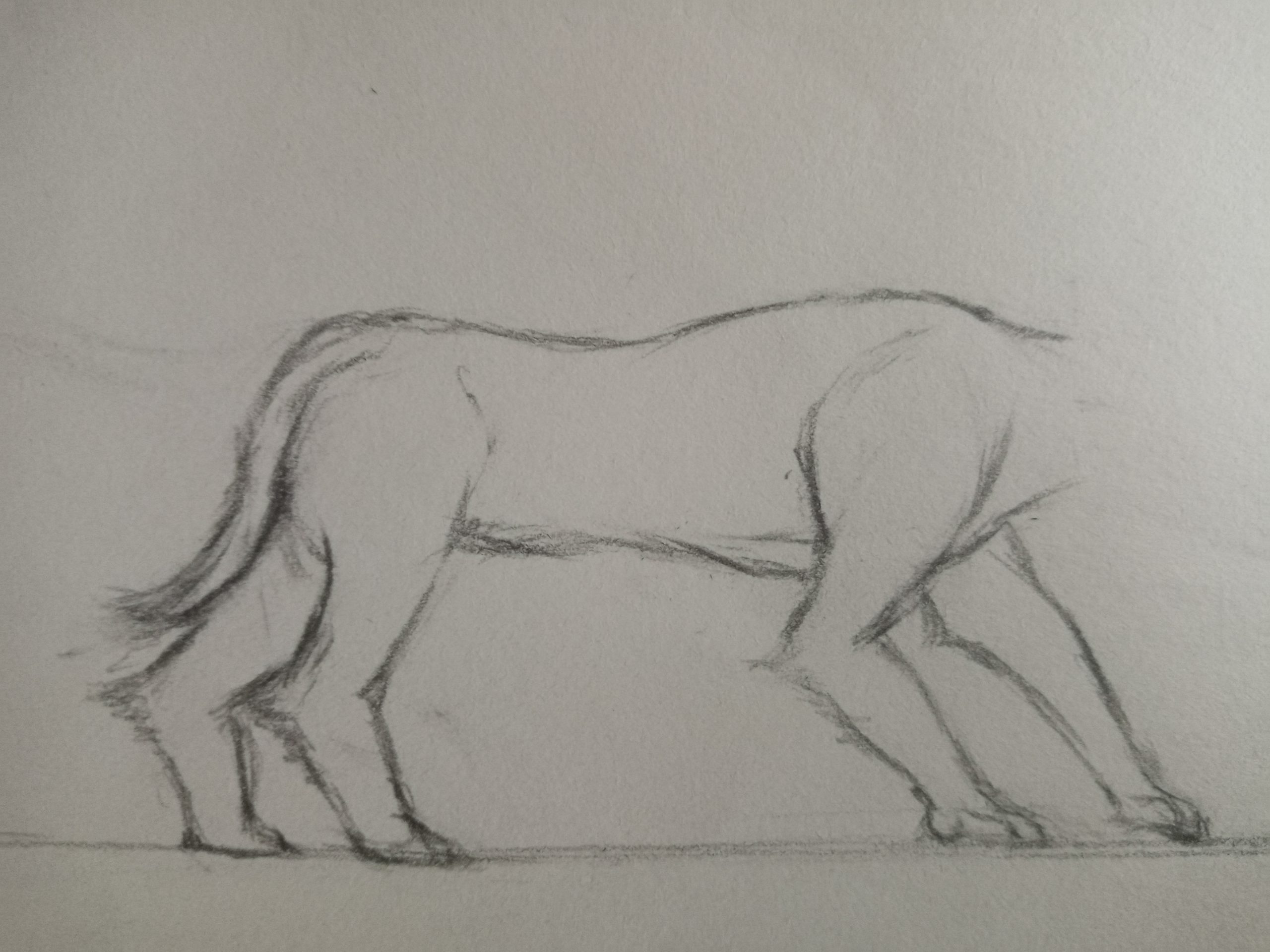 猫の建筑日记 猫の建筑日记