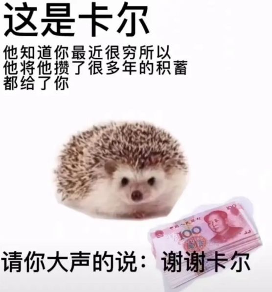 妹水经验昂 妹水经验昂