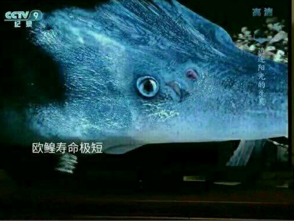 最近运气这么好的吗? 最近运气这么好的吗?