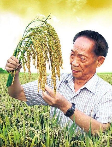 开始营业 开始营业