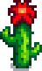 Cactus Stage 6.png