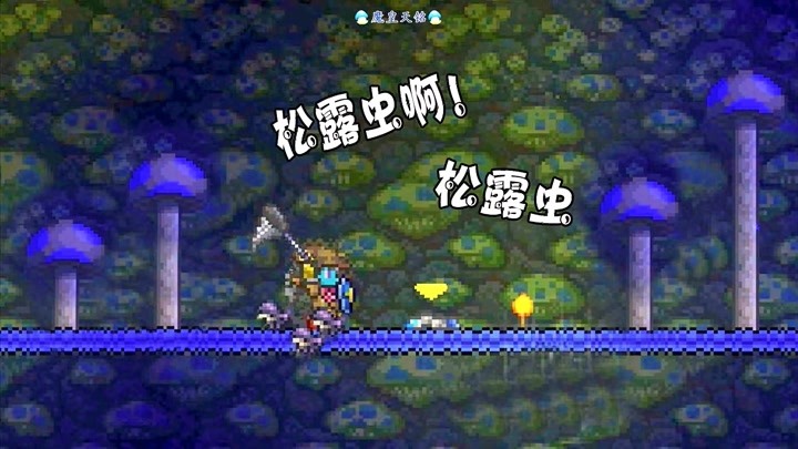 用户头像-松露虫本虫