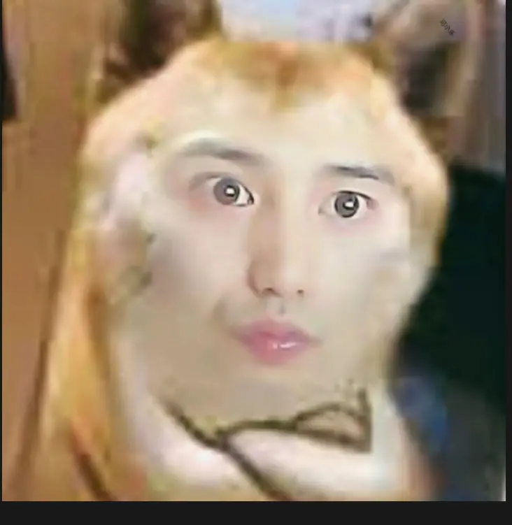 用户头像-暴龙养肝战士