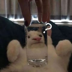 用户头像-您已解锁所以成就！