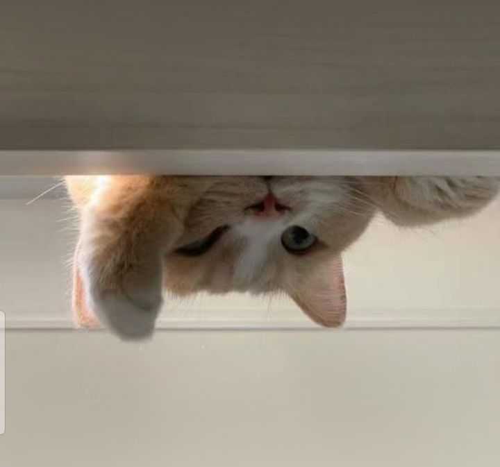 用户头像-baiyue0