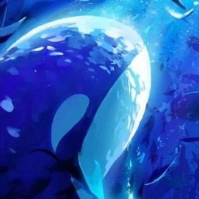 用户头像-鲸鱼