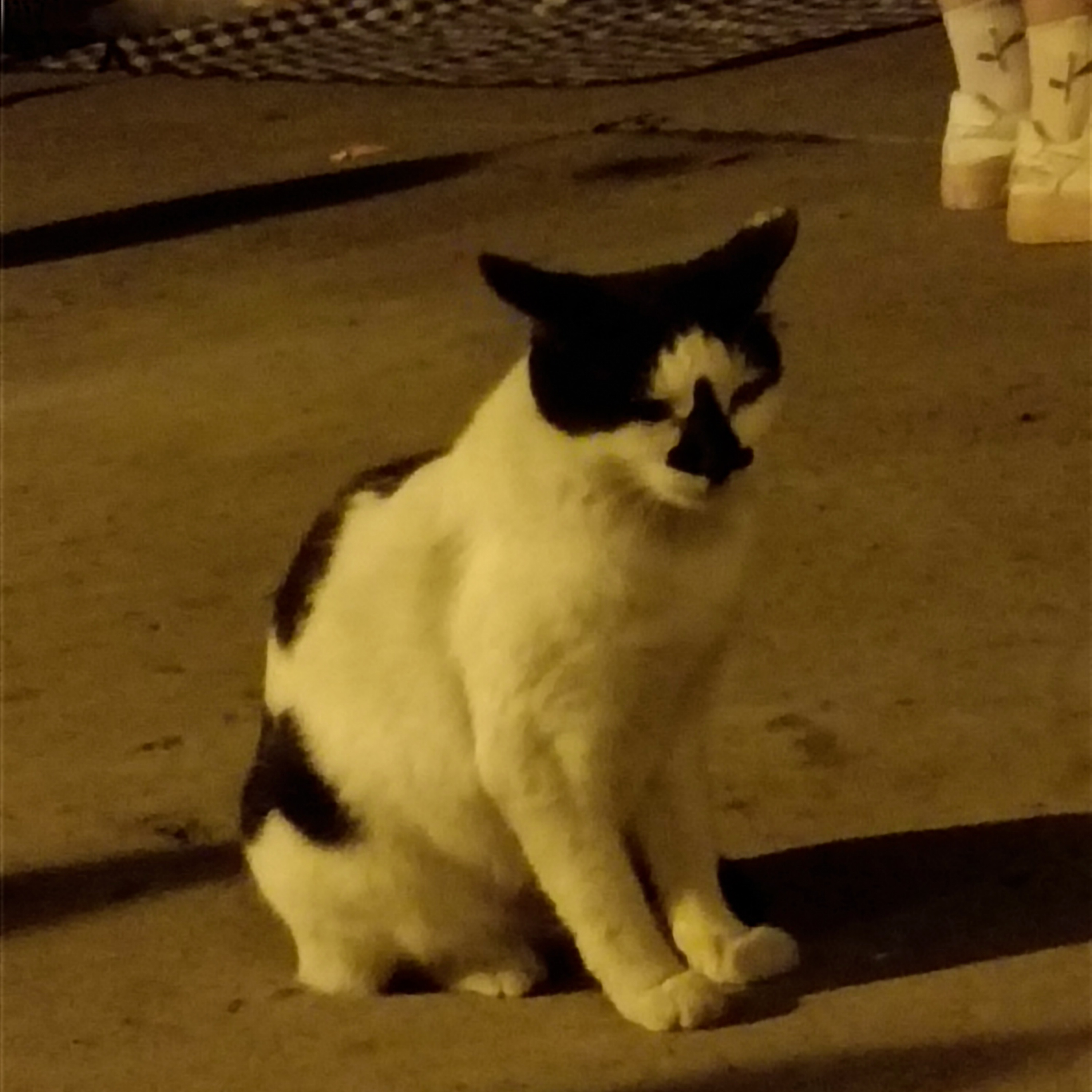 用户头像-不乐意眨眼