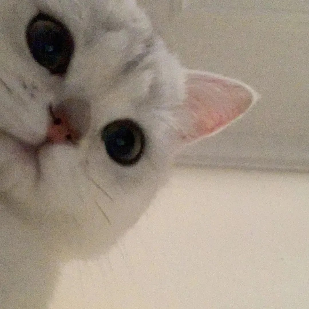 用户头像-aotesaiwen