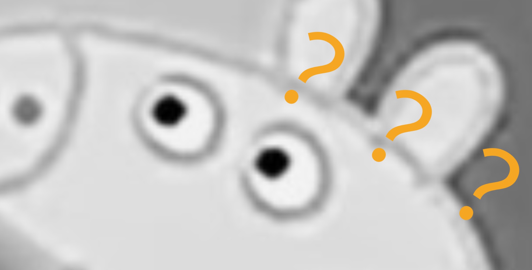 用户头像-老母鸡(Jxiao69)