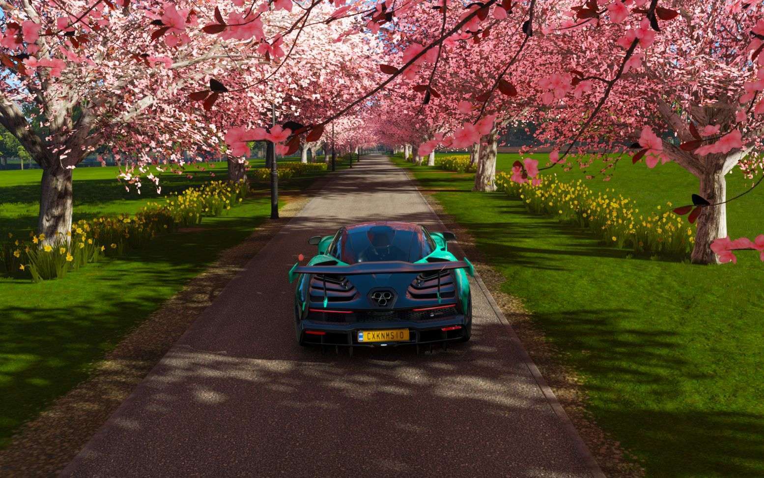 用户头像-爱玩泰拉和地平线