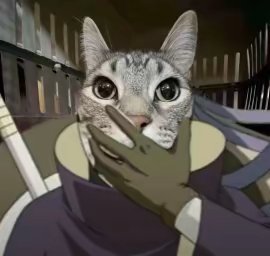 用户头像-tnaFhgT8