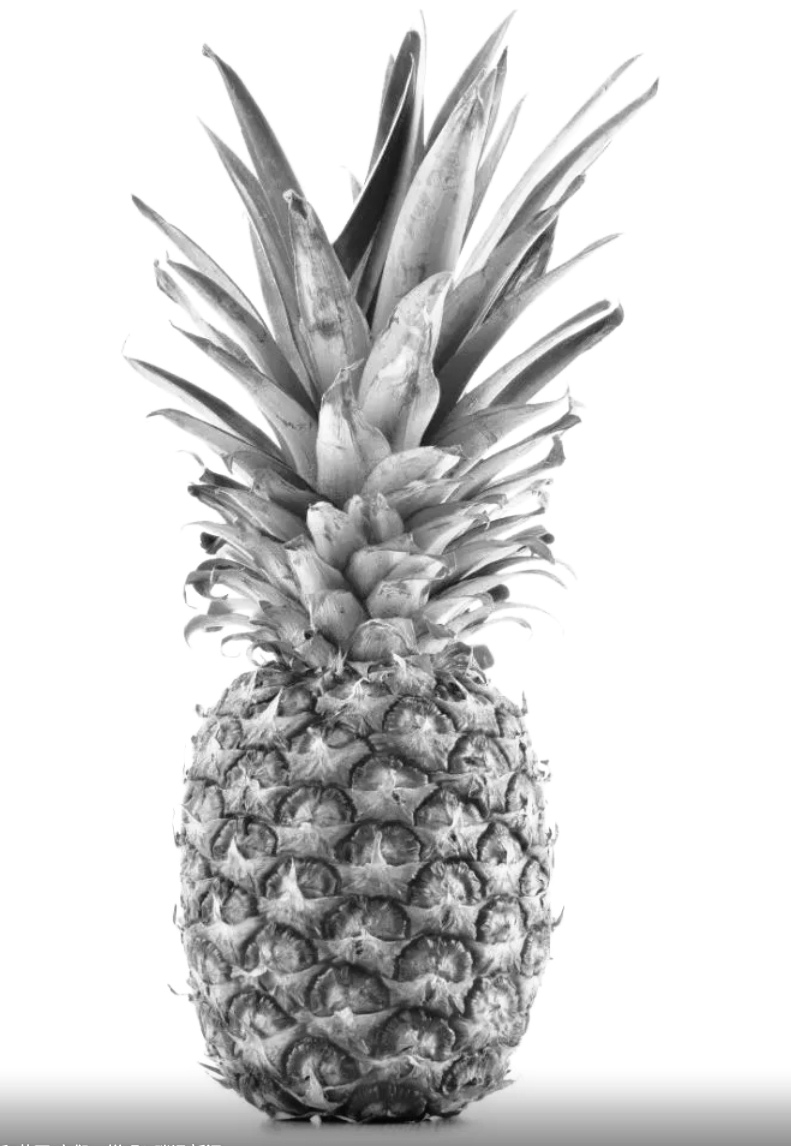 用户头像-正人君子Check