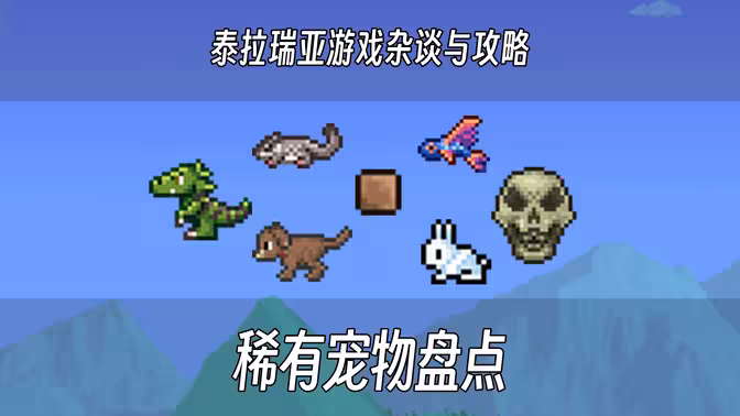 泰拉瑞亚中的这些稀有宠物，你都有几只呢