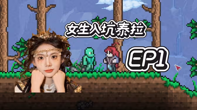 女生玩泰拉瑞亚？男生玩我的泰拉？