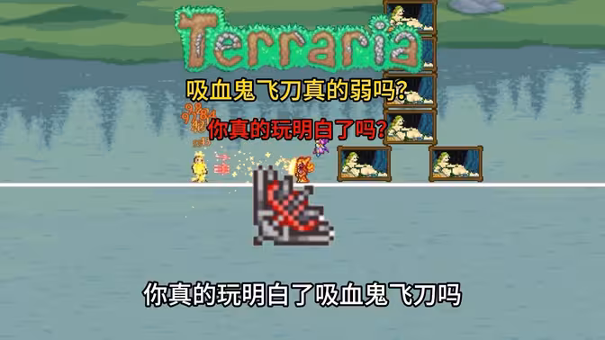 你真的了解吸血鬼飞刀吗？