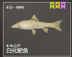 伞兵