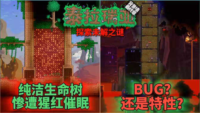泰拉瑞亚未解之谜：背景墙是不长眼的