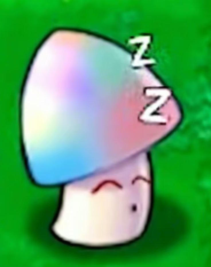 绵羊sheep