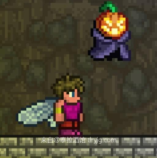 泰拉瑞亚都有哪些装饰？泰拉瑞亚时装搭配展示大全