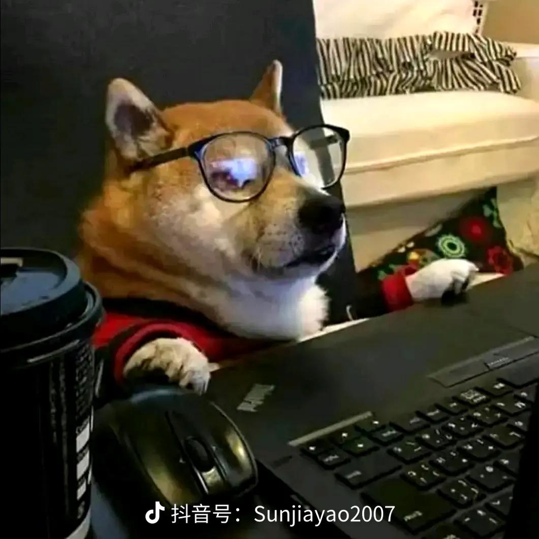 用户头像-大猩猩